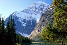 关于浓眉哥在RNG比赛中战术调整，败北引发热议！的信息